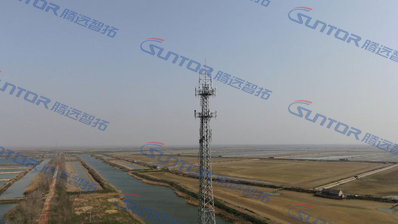 腾博会项目现场图 腾博会项目现场图